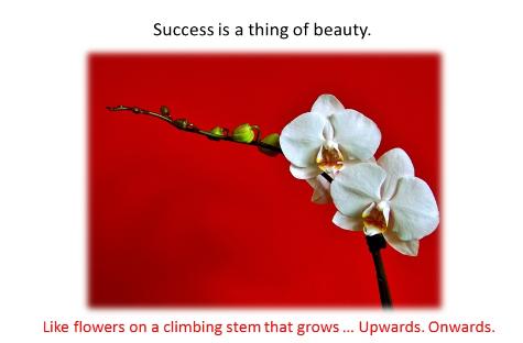 Success grows like a flower 
